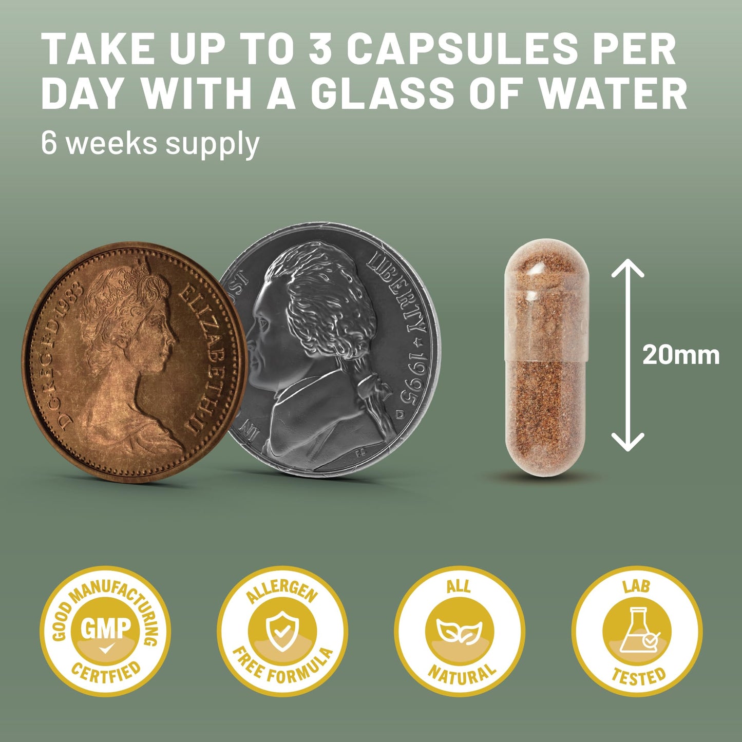 Mushroom Complex 6 Lions Mane Mushroom Supplement 120 Capsules High Strength Vegan Supplement with Lions Mane, Reishi, Chaga Mushroom Powder, Shitake, Cordyceps & Maitake (120 Capsules)