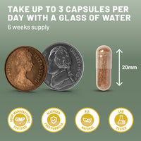 Mushroom Complex 6 Lions Mane Mushroom Supplement 120 Capsules High Strength Vegan Supplement with Lions Mane, Reishi, Chaga Mushroom Powder, Shitake, Cordyceps & Maitake (120 Capsules)