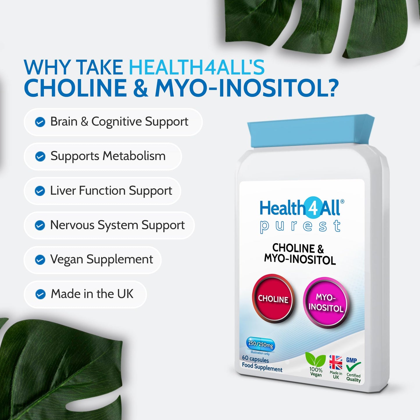 Choline & Inositol 500mg 60 Capsules, 250mg Myo Inositol Vegan Supplement for Brain Health, Mood, Memory, Liver Function & Metabolism - Made in UK by Health4All