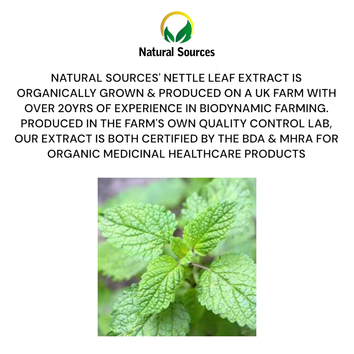 Natural Sources Nettle Leaf Tincture Drops - Fresh Plant Extract organically harvested 100 Servings - Nettle Supplement 100% Nettle Extract - Highest Concentrate - UK Produced - GMDP Certified/Vegan/Non GMO