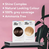 Josh Wood Colour - Ammonia-Free Hair Dye - Permanent Hair Colour with 100% Grey Coverage - Vegan Friendly, Natural-Looking Results, Shiny & Hydrated Hair | 5.5 (Brown)