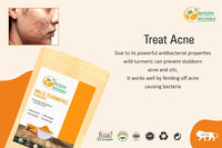 Herbs Botanica Wild Turmeric Powder For Face Reduces Acne, Face Mask, Dark Spots, Hyperpigmentation, Smooth Skin, Kasturi Manjal, Kasturi Turmeric, Aromatic Turmeric 150 Gms / 5.30 Oz