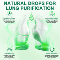Bibonse Mullein Leaf Extract for Lung, Mullein Drops, Mullein Leaf Liquid Drops, Mullein Extract with Chlorophyll for Lung Cleanse, Premium Health Supplement Drops for Fast Absorption, Alcohol-Free, 60ml