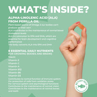 Kids Omega 3, 6 & 9 Gummies – Sugar-Free, Vegan & Gluten-Free | Plant-Based Omega with 8 Essential Vitamins | Chewable, Tasty Alternative to Fish Oil | 1 Month Supply