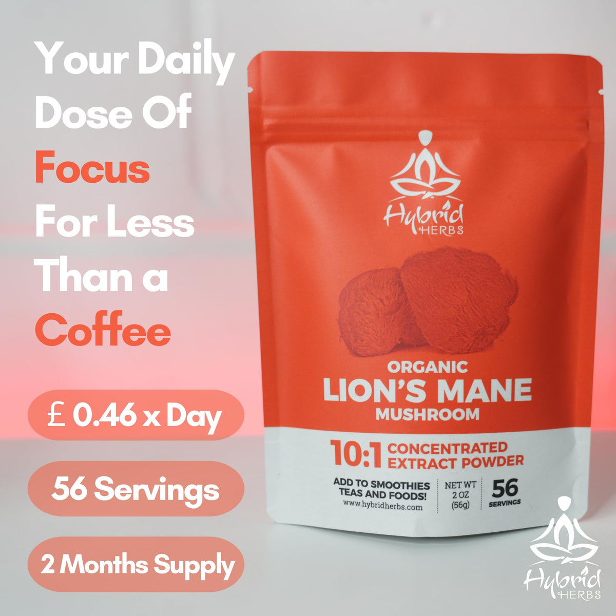 Hybrid Herbs HYBRID HERBS Organic Lion's Mane Mushroom Powder 56g - 10:1 Extract | Nootropic Brain Supplement for Focus, Memory & Concentration | High in Beta Glucans & Hericenones | Vegan | 56 Servings