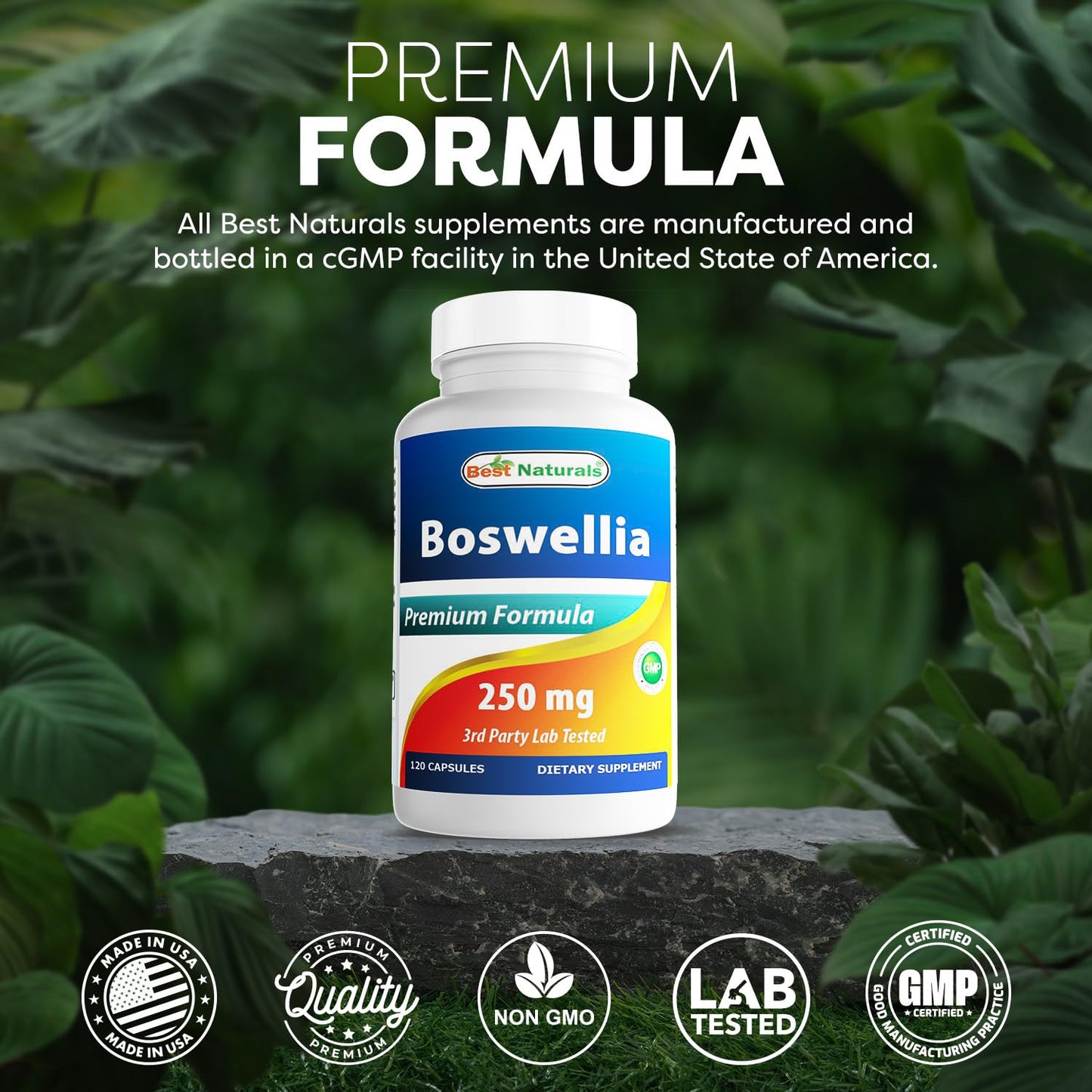 Best Naturals Boswellia 250 mg 120 Capsules - Standardized to 65% Boswellic acid