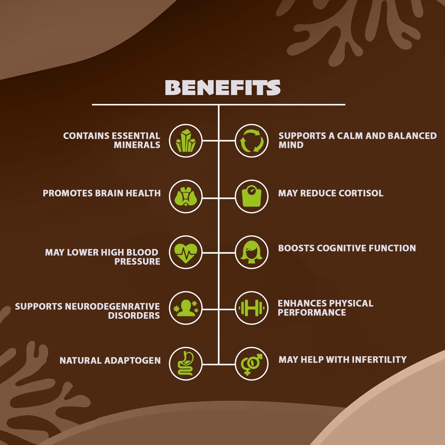 Ashwagandha, Lion's Mane, Bacopa Monnieri Capsules - Supports a Calm and Balanced Mind, Cognitive Function, and Mental Clarity - 180 Capsules - 3 Month Supply - Vegan, Non-GMO, 100% Natural