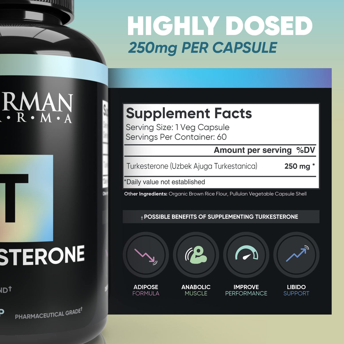 German Pharma Turkesterone | Ajuga Turkestanica 250mg Dose | 60 Vegetable Capsules, 2 Per Day | Increase Strength + Build Lean Muscle | 100% Vegan |