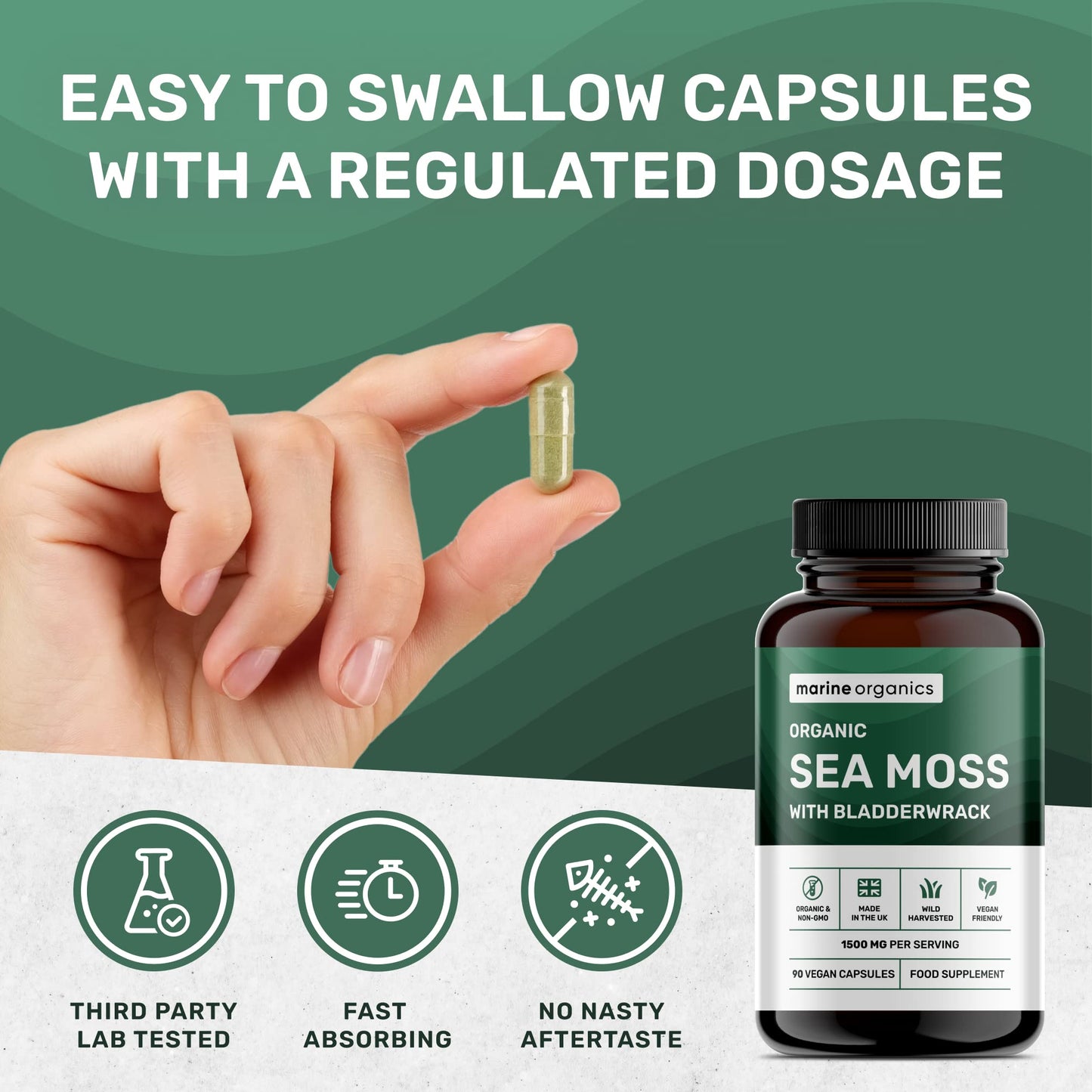 MarineOrganics Organic Sea Moss Capsules - 90 Irish Sea Moss and Bladderwrack Capsules - Iodine Tablets - UK Wild Harvested Seamoss - High Potency