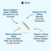 NEW LEAF PRODUCTS Pure Marine Collagen 100% Marine Collagen Type 1 Hydrolysed Collagen Peptides Enhanced with Hyaluronic Acid & Vitamin C -Essential Amino Acids - Collagen Supplements for Women and Men, 60 Capsules