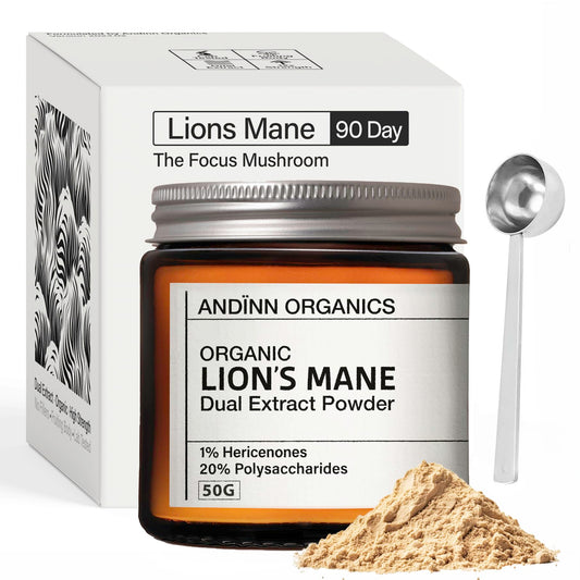 Andinn Organics Organic Lions Mane Mushroom Powder | 12X Strength | 3 Month Supply | Dual Extract Powder 23:1 | 6000mg | NGF | 1% Hericenones | 20% Polysaccharides