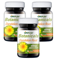 LIFEPLAN Dandelion Root 60caps (Pack of 3)