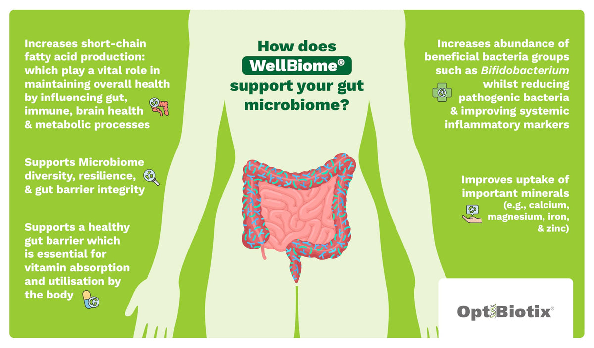 WellBiome Prebiotic Soluble Fibre Supplement with Inulin and Magnesium – Gut Health & Digestive Support, Fiber Powder for Microbiome Balance, High Fibre Prebiotics for Gut Health, 30 Serving Sachets