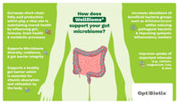 WellBiome Prebiotic Soluble Fibre Supplement with Inulin and Magnesium – Gut Health & Digestive Support, Fiber Powder for Microbiome Balance, High Fibre Prebiotics for Gut Health, 30 Serving Sachets