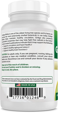Best Naturals, Ginkgo Biloba Extract - Double Strength Ginkgo Biloba, 120mg, 120 Capsules (120 Count (Pack of 3))