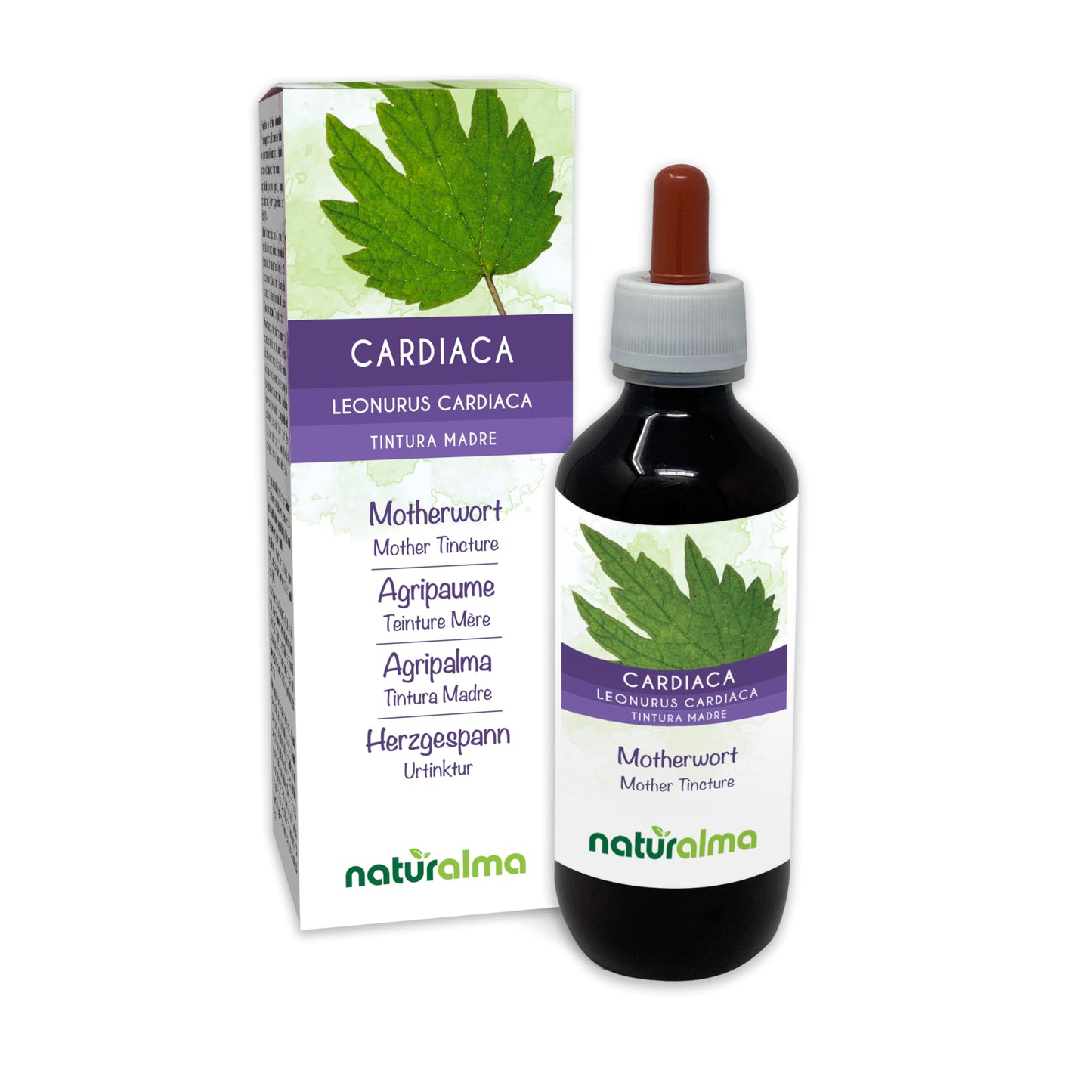 Motherwort (Leonurus cardiaca) herb with Flowers Alcohol-Free Mother Tincture Naturalma - Liquid Extract Drops 200 ml - Food Supplement - Vegan