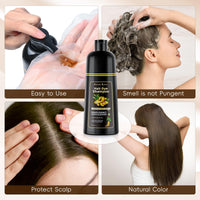 Black Hair Dye Shampoo, Black Hair Dye Shampoo 3-in-1 for Grey Hair, Instant Hair Colour Shampoo for Men and Women, Hair Colour Shampoo, Anti Grey Effect, 500 ml (Chestnut Brown)