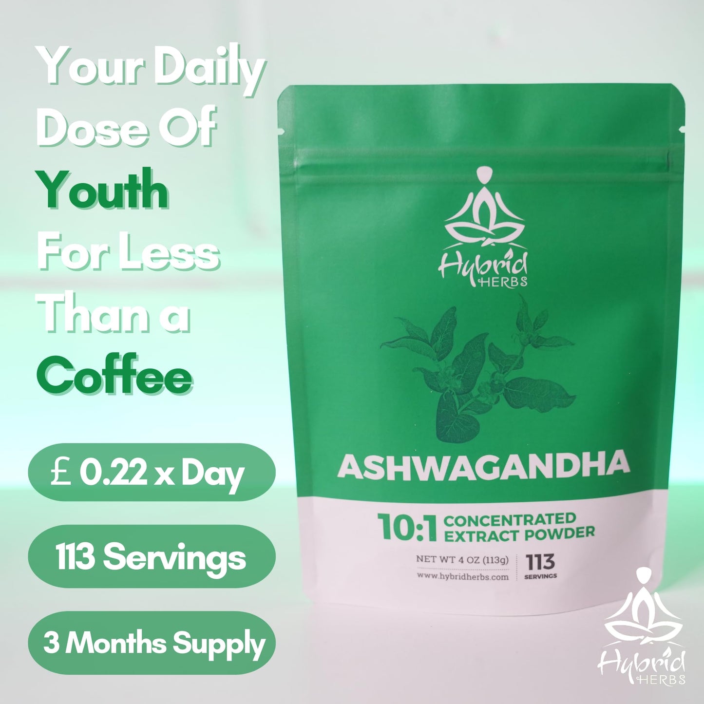 HYBRID HERBS – ASHWAGANDHA ROOT | 10:1 Extract Powder with Withanolides | Adaptogen for Calm, Stress & Sleep Aid | Stamina, Cognitive & Mind Support | 113 servings (113g)