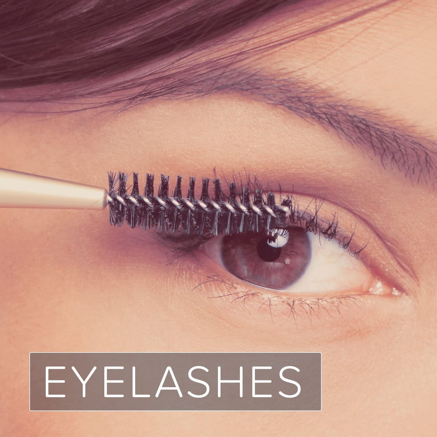 Naissance Organic Golden Jojoba Oil (no. 233) 100ml - Natural, Certified Organic, Unrefined, Vegan, Hexane Free, No GMO