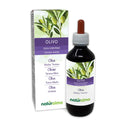 Olive (Olea europaea) Leaves Alcohol-Free Mother Tincture Naturalma - Liquid Extract Drops 200 ml - Food Supplement - Vegan