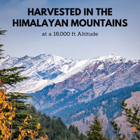 Black Diamond Shilajit Liquid Drops 50ml. Pure Himalayan Strength, Energy, Recovery & Health. Potent & Pure. Natural Fulvic Acid Trace Mineral & Vitamin Complex