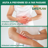 LIFEPLAN Lifeplan Acidophilus and Rhamnosus Vegicap 50 Capsules
