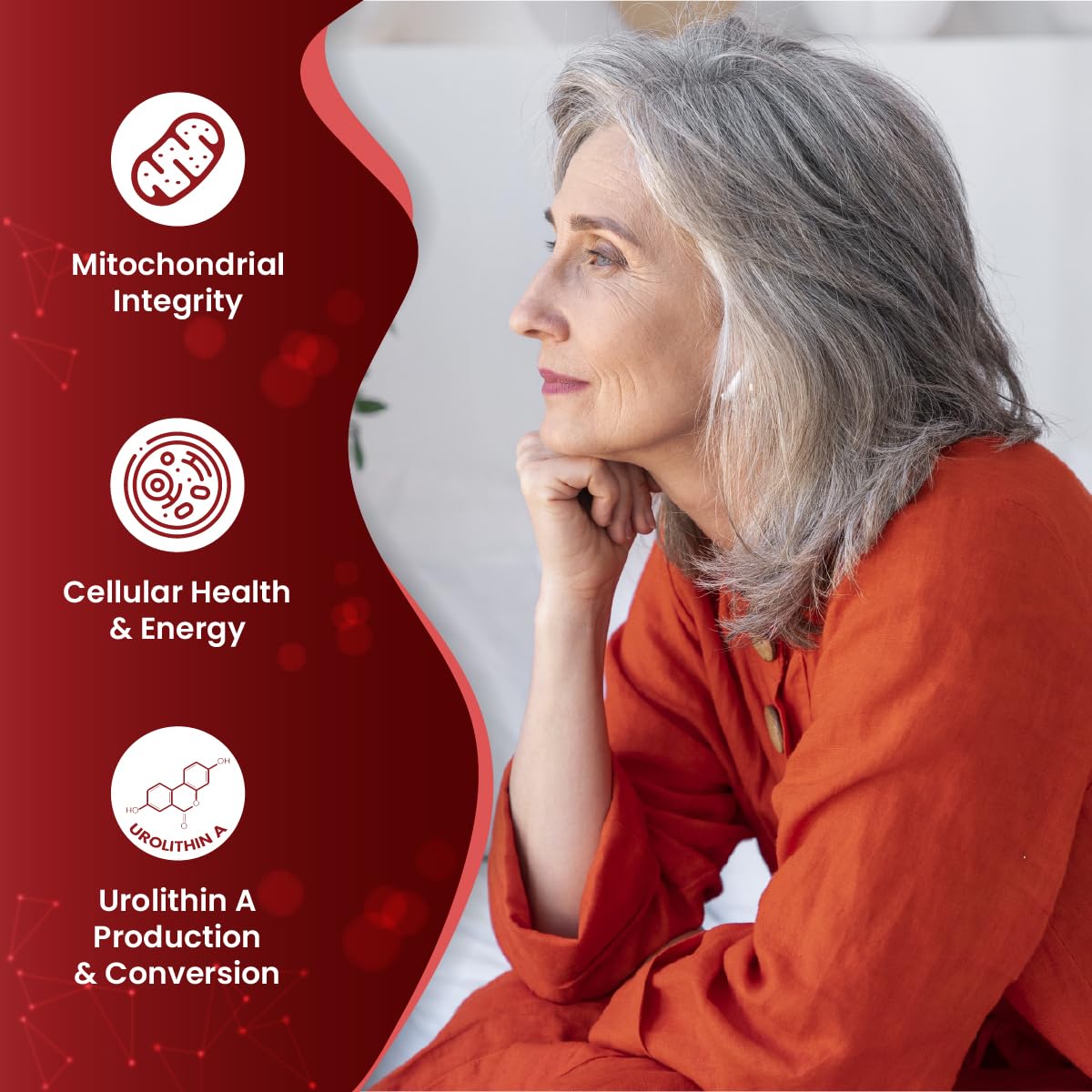 The Good Vitamin Company Ultrapome: 30 Vegetarian Capsules, Pomegranates + Live Cultures/Microbiome, Ellagitannins, Urolithin A Supplement, Cellular Health Complex for Mitochondrial Health, Mitophagy, Energy Support
