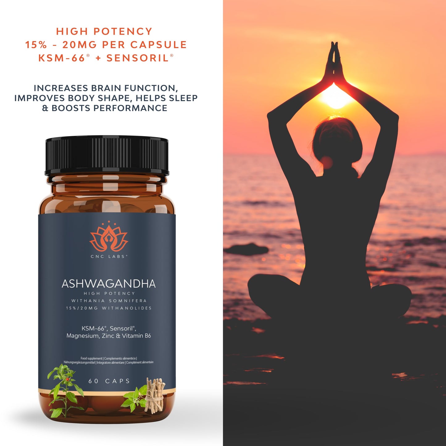 QSTA Ashwagandha KSM 66 + Sensoril (15-20% Withanolides) Cortisol Reducing Supplements for Deep Sleep, Energy, Concentration and Stress Relief. 2 Month Supply Ashwagandha High Strength KSM 66 Capsules