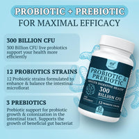 300 Billion CFU Probiotics for Digestive Gut & Immune Health, Advanced Strength Probiotics with 12 Diverse Strains + 3 Prebiotics for Women & Men (60 Count (Pack of 3))