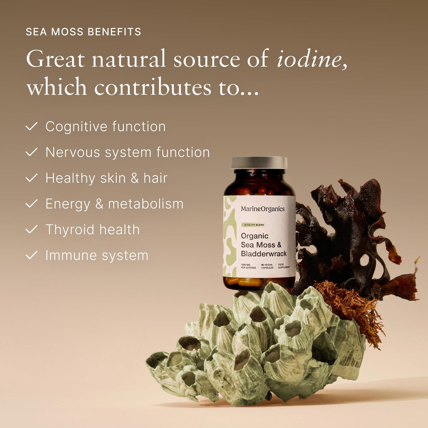 Marine Organics MarineOrganics Organic Sea Moss Capsules - 90 Irish Sea Moss and Bladderwrack Capsules - Iodine Tablets - UK Wild Harvested Seamoss - High Potency