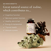 Marine Organics MarineOrganics Organic Sea Moss Capsules - 90 Irish Sea Moss and Bladderwrack Capsules - Iodine Tablets - UK Wild Harvested Seamoss - High Potency