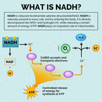 azaroe NADH 50mg Maximum Strength NADH - Energy Booster, NAD+ Supplement, Active Form of Vitamin B3, 2 Months Supply, 60 Count (Pack of 1)