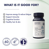 HIGHER NATURE Higher Nature - Vitality Multivitamin for Men - True Food Formula Nutrients from 16 Real Foods - Vegan - One Month Supply - 60 Capsules