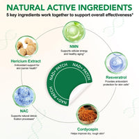 XAYGHE NAD+ Patches - Cell Regeneration Support - Botanical Plant-Based Formula with Resveratrol & Lion's Mane - 30 Vegan Patches