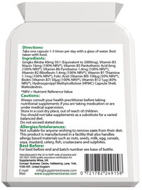 Supplements Wise Ginkgo Biloba Capsules 90 x 2000mg - Dizziness and Vertigo Treatment - Focus Tablets, Concentration Pills for Brain, Memory - Blood Circulation -Ginkgo Biloba Herbal Supplements with Vitamin B Complex