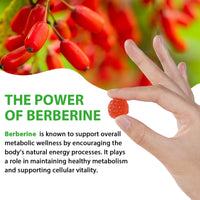 jollifish Berberine Gummies, Berberine Supplement Gummies with Turmeric Support Energy, Gut Health, Metabolism, Immune System & Metabolism Support for Women & Men, Sugar Free, Non-GMO, Gluten-Free - 60 Gummies