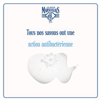 Le Petit Marseillais Liquid Soap with Antibacterial Action 300ml