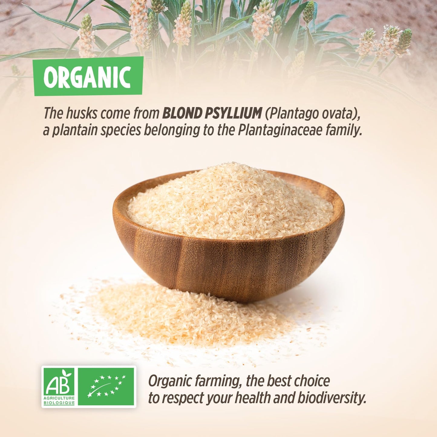 Planète au Naturel Organic Raw Psyllium Husk - 99% Pure Grade - Natural Fiber - 500 g