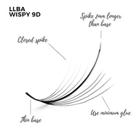 LLBA Promade Wispy Lash Extensions 9D 0.05, 100% Handmade Eyelashes Volume Fans, C Cc D Curls, 9-17 Mm Length, Long-Lasting, Easy Application (D 16 mm) (Packaging May Vary)