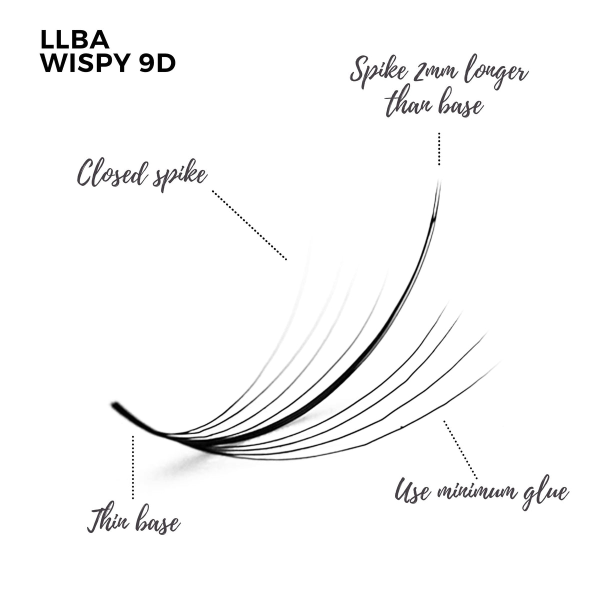 LLBA Promade Wispy Lash Extensions 9D 0.05, 100% Handmade Eyelashes Volume Fans, C Cc D Curls, 9-17 Mm Length, Long-Lasting, Easy Application (C 16 mm) (Packaging May Vary)
