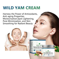 Ingzy Wild Yam Cream, Wild Yam Cream for Hormone Balance, Organic Wild Yam Cream for Menopause, Support Hormone Harmony, Women Wild Yam Root Cream Skin Moisturizer, 50g