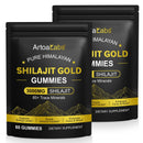 XINSZLIN 2PCS Shilajit Gummies for Men & Women Natural Himalayan Shilajit Gold Gummy, 3000mg, Rich in Ashwagandha and Gokshura with 85+ Minerals, Boost Your Vitality Health and Endurance, 60 Gummies
