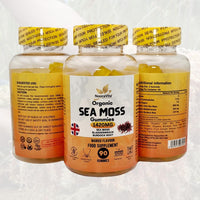 NooraVita Supplements & Skincare NooraVita Organic Sea Moss Gummies, 1420mg with Bladderwrack and Burdock Root, 90 Mango Flavour Gummies