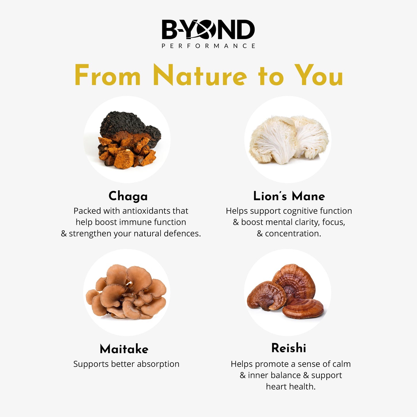 B-YOND Performance Mushroom Complex Supplements for Immune Support - Premium Lion’s Mane Mushroom Supplement Capsules with Chaga, Maitake & Reishi Mushroom - Supplement for Women & Men by B-Yond Performance, 60 Capsules