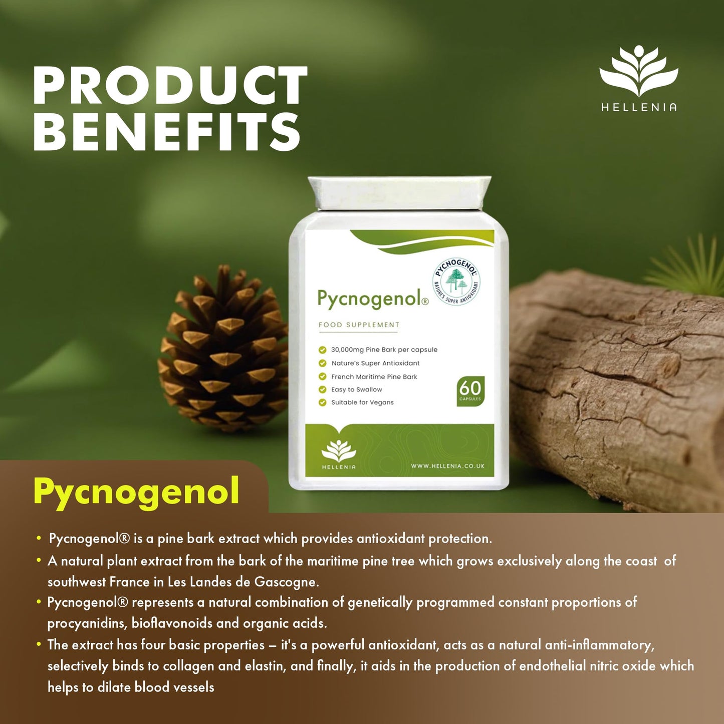 Pycnogenol® French Maritime Pine Bark Extract - 60 Capsules | Providing Naturally Powerful Bioflavonoids | High Bioavailability Pycnogenol | Suitable for Vegans - Made in The UK by Hellenia