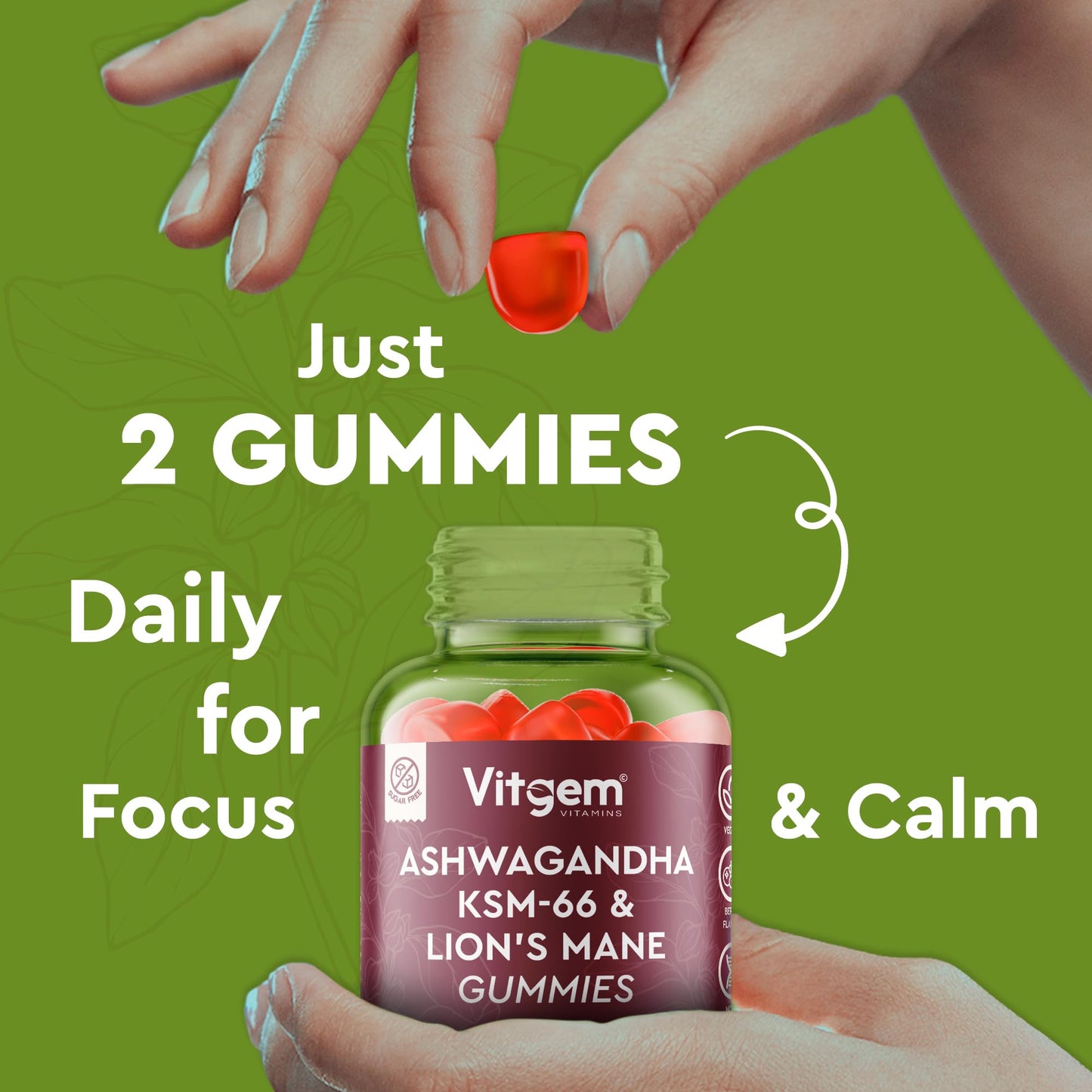 Vitgem 60 Chews KSM-66 Ashwagandha and Lions Mane Gummies for Adults – Sugar-Free Natural Nootropic for Focus, Memory & Stress Relief – Vegan Berry Flavor – Cognitive & Cortisol Balance Supplement