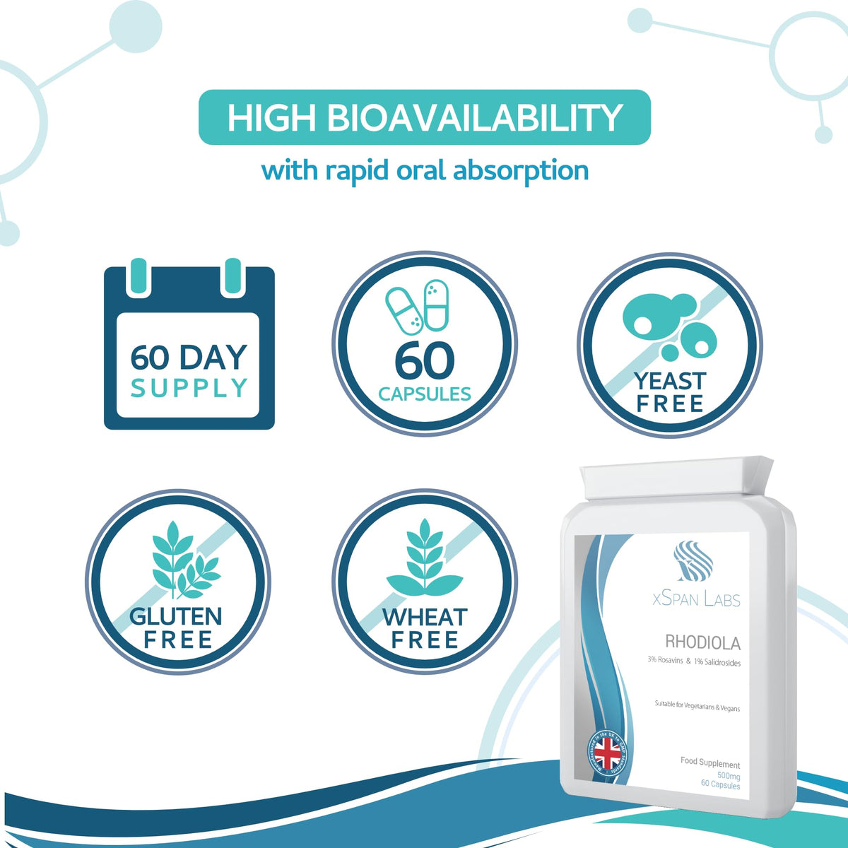 Xspan Labs Rhodiola 500mg (standardized to 3% Rosavins and 1% Salidrosides) Whole Root Equivalent - 60 Capsules - Suitable for Vegetarian and Vegan Diets
