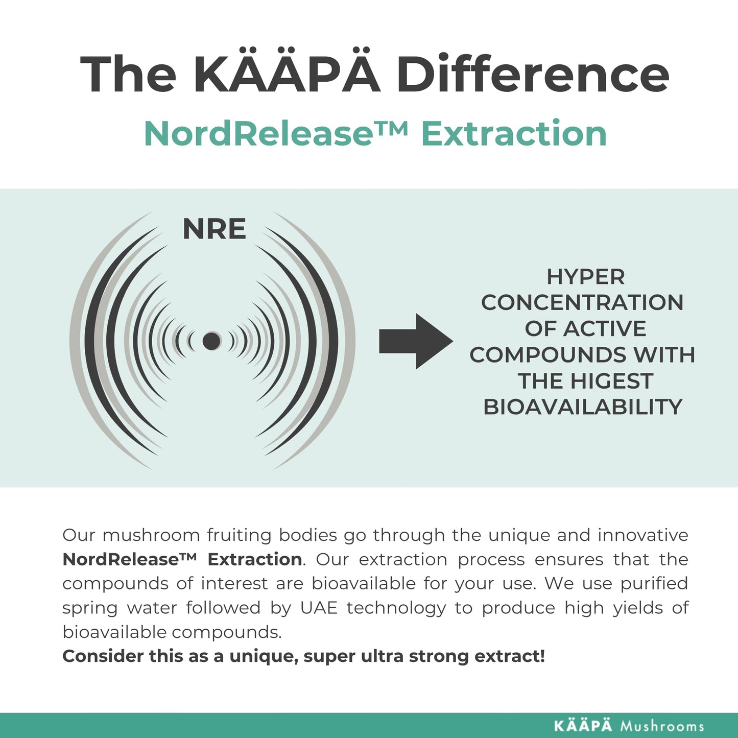 KAAPA Mushrooms KAAPA MUSHROOMS - Shiitake Mushroom Extract Tincture - Potent Ultrasonic Extraction | High Potency Mushroom Supplement for Immunity & Wellbeing | Grown in Finland - 50ml