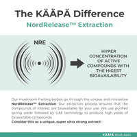 KAAPA Mushrooms KAAPA MUSHROOMS - Shiitake Mushroom Extract Tincture - Potent Ultrasonic Extraction | High Potency Mushroom Supplement for Immunity & Wellbeing | Grown in Finland - 50ml