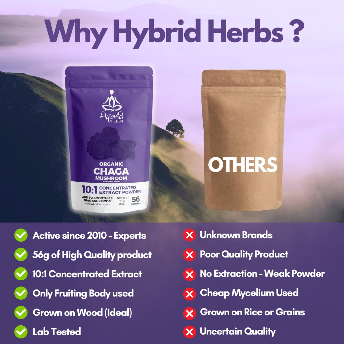 Hybrid Herbs HYBRID HERBS – Organic Wild Chaga Mushroom Powder 10X Strength - Supplement for Energy, Skin & Brain Support Rich in Antioxidants & Beta Glucans | HIGH Potency 10:1 Extract - 56 Serving (56g)